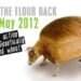 Rothamsted Research, Take The Flour Back, Rothamsted Research wheat, GM wheat, dwarf wheat, norman borlaug, Rothamsted Research protests, Rothamsted Research Take the Flour Back, Rothamsted Research gm wheat risk, gm wheat aphids