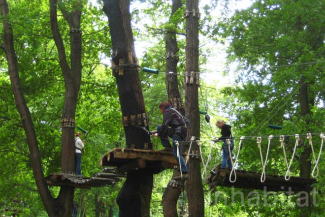 Waldhochseilgarten, Botanical, Zero energy, Landscape Architecture, berlin, Edelrid SmartBelay System, Volkspark Jungfernheide, climbing circuits, harness, treetops