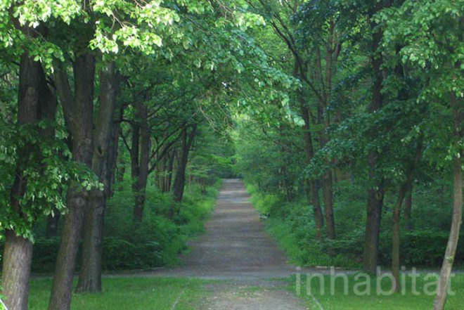 Waldhochseilgarten, Botanical, Zero energy, Landscape Architecture, berlin, Edelrid SmartBelay System, Volkspark Jungfernheide, climbing circuits, harness, treetops