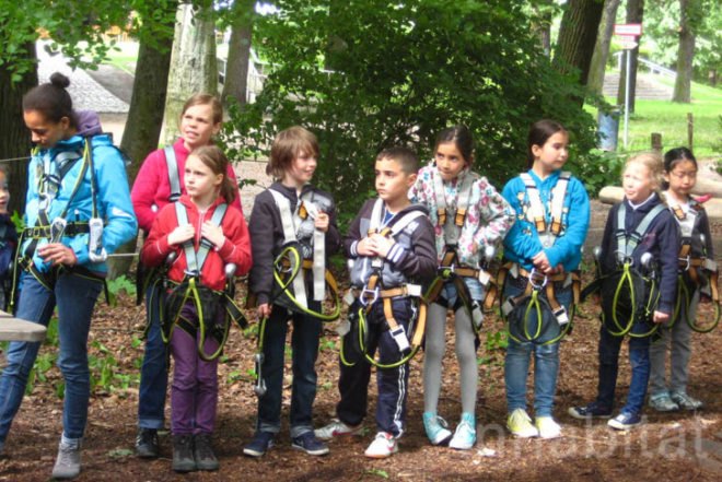 Waldhochseilgarten, Botanical, Zero energy, Landscape Architecture, berlin, Edelrid SmartBelay System, Volkspark Jungfernheide, climbing circuits, harness, treetops