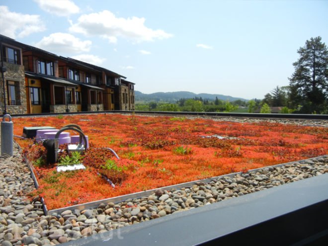 allison inn, allison inn and spa, leed certified hotels, leed gold hotels, leed gold hotel, sustainable hotel, green hotel, green hotels, solar powered hotel, wine country hotel, eco hotel,