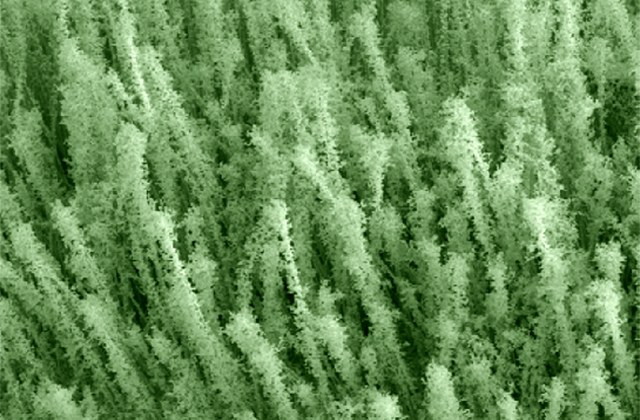Stanford, nanotechnology, nanowires, bejeweled nanowires, nanoparticles