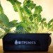 Bitponics, brooklyn, hydroponics, hydroponic gardening, gardening, urban farmers, indoor gardening, the cloud, high-tech farming