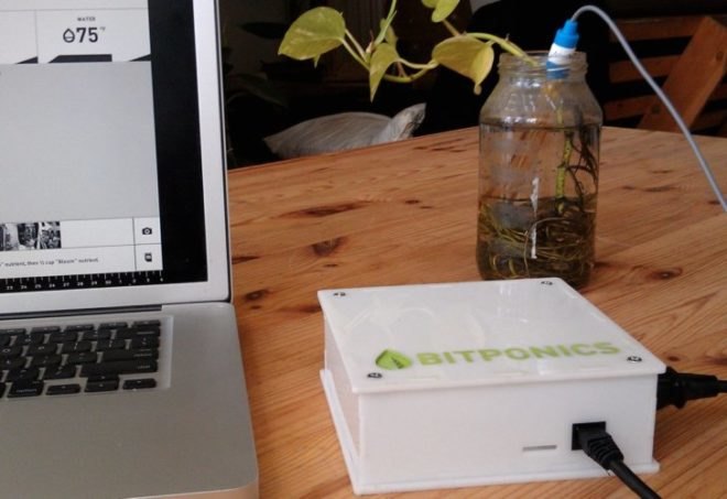 Bitponics, brooklyn, hydroponics, hydroponic gardening, gardening, urban farmers, indoor gardening, the cloud, high-tech farming