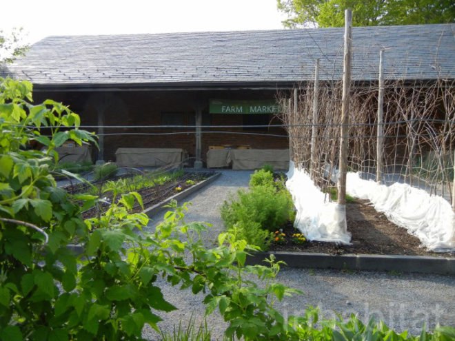 stone barns, blue hill, blue hill nyc, blue hill tarrytown, green restaurants, organic restaurants nyc, organic food nyc, dan barber, Stone Barns Center for Food and Agriculture, blue hill restaurant, eco restaurants, sustainable restaurants, blue hill review