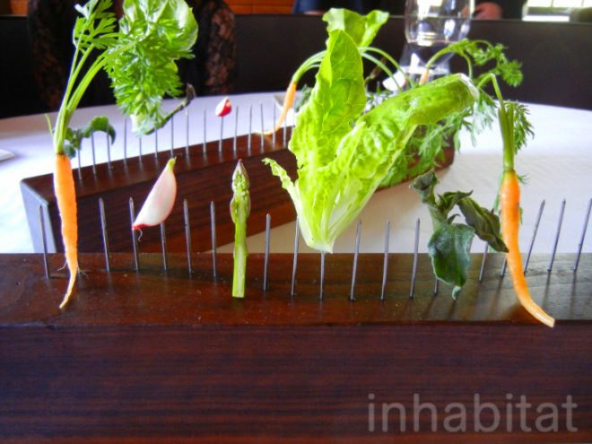 stone barns, blue hill, blue hill nyc, blue hill tarrytown, green restaurants, organic restaurants nyc, organic food nyc, dan barber, Stone Barns Center for Food and Agriculture, blue hill restaurant, eco restaurants, sustainable restaurants, blue hill review