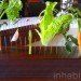 stone barns, blue hill, blue hill nyc, blue hill tarrytown, green restaurants, organic restaurants nyc, organic food nyc, dan barber, Stone Barns Center for Food and Agriculture, blue hill restaurant, eco restaurants, sustainable restaurants, blue hill review
