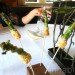 stone barns, blue hill, blue hill nyc, blue hill tarrytown, green restaurants, organic restaurants nyc, organic food nyc, dan barber, Stone Barns Center for Food and Agriculture, blue hill restaurant, eco restaurants, sustainable restaurants, blue hill review