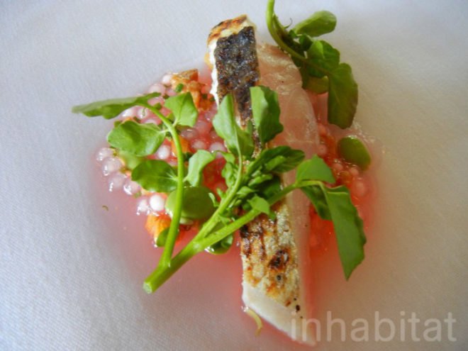 stone barns, blue hill, blue hill nyc, blue hill tarrytown, green restaurants, organic restaurants nyc, organic food nyc, dan barber, Stone Barns Center for Food and Agriculture, blue hill restaurant, eco restaurants, sustainable restaurants, blue hill review