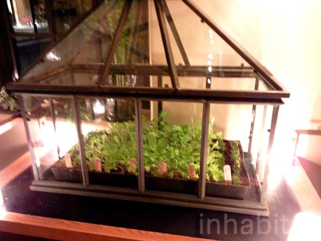 stone barns, blue hill, blue hill nyc, blue hill tarrytown, green restaurants, organic restaurants nyc, organic food nyc, dan barber, Stone Barns Center for Food and Agriculture, blue hill restaurant, eco restaurants, sustainable restaurants, blue hill review