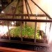 stone barns, blue hill, blue hill nyc, blue hill tarrytown, green restaurants, organic restaurants nyc, organic food nyc, dan barber, Stone Barns Center for Food and Agriculture, blue hill restaurant, eco restaurants, sustainable restaurants, blue hill review