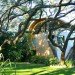TOTeMS, Casey Guest House, Sarasota Bay, Florida, mangroves, minimalist, green design, sustainable design, eco-design, FEMA, curvilinear design,
