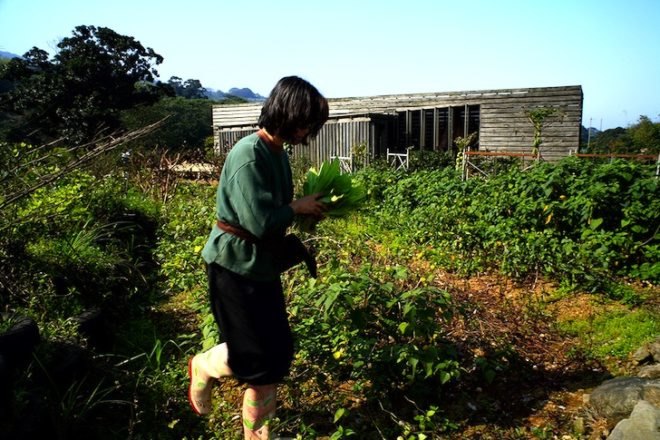 Casagrande Laboratory, Chen House, wooden construction, natural disasters, earthquakes, typhoons, bioclimatic design, taiwan, Datun, green design, sustainable design, eco-design, farmhouse