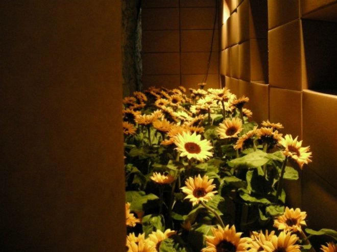 girona flower festival, tiempo de flores, catalan flower festival, flower show, spain spring celebration, sustainable art, landscape gardening, flower artwork