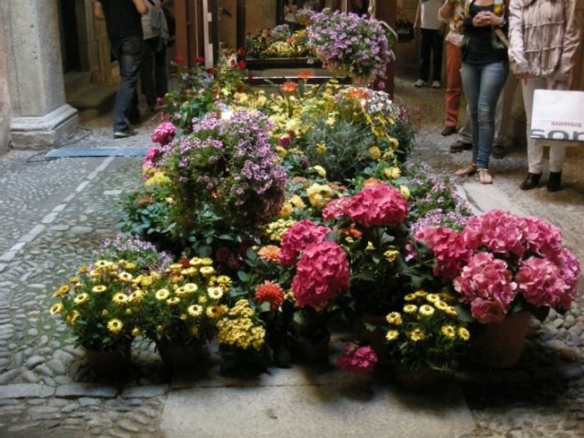 girona flower festival, tiempo de flores, catalan flower festival, flower show, spain spring celebration, sustainable art, landscape gardening, flower artwork