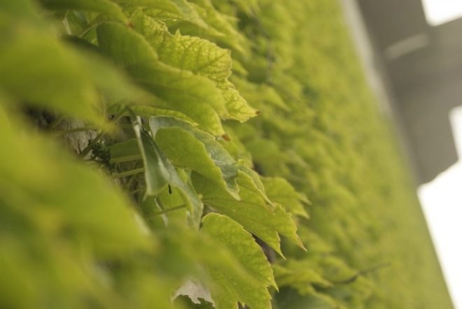 haus des meeres, green renovation, post-war structures, flak towers renovation, adaptive reuse, sustainable design, aquarium vienna