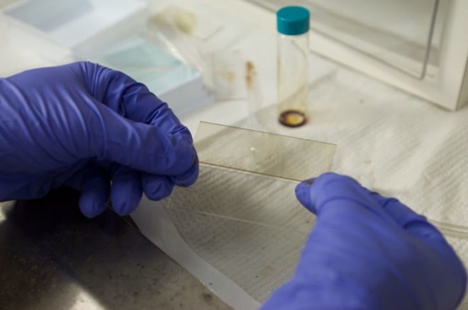 Liquid Solar Cell, solar power, solar cell, USC, University of Southern California