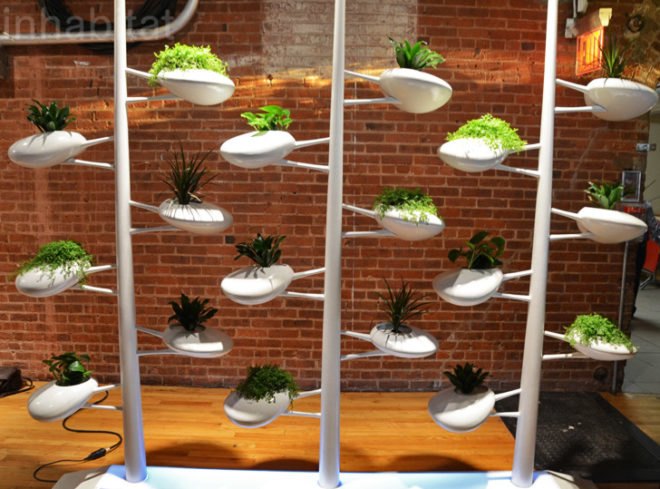 Live Screen, Danielle Trofe, gardening, green wall, wanted design, new york design week, ny design week 2012, green design, sustainable design, green furniture, green interiors, green products, sustainable products, eco design