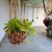 green design, eco design, sustainable design, Ernesto Neto, Tanya Bonakdar Gallery, crochet art, knit art, Slow iis Goood, guerilla knitting