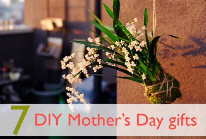 diy, do it yourself, diy gifts, diy mothers day gifts, mothers day gifts, mother's day gifts, diy mother's day gifts, green design, eco design, sustainable design, green mother's day gifts, eco mother's day gifts, green gifts for mom, make it yourself gifts