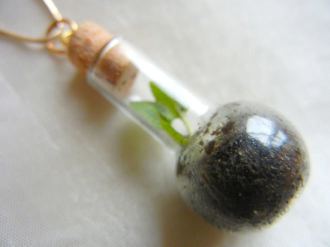 terrarium necklace on white background