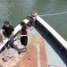 Tug Pegasus, waterfront museum barge, tug pegasus preservation project, partners in preservation, partners in preservation nyc, barge, tugboat, historic vessels new york harbor