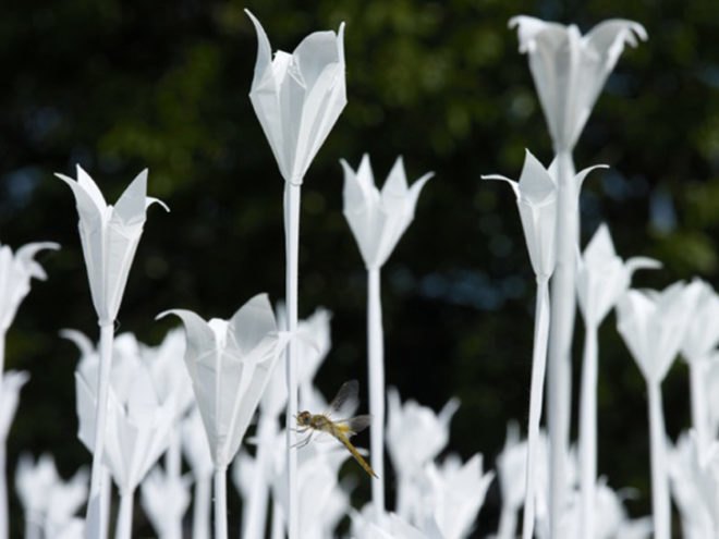 Folding for Peace, Anouk Vogel, Paper Garden, Origami Plants, Origami Garden, Nagasaki Paper Garden, World Peace, Gardening World Cup, Wish for Peace
