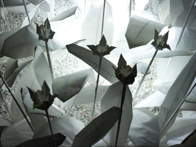 Folding for Peace, Anouk Vogel, Paper Garden, Origami Plants, Origami Garden, Nagasaki Paper Garden, World Peace, Gardening World Cup, Wish for Peace