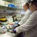 NOTT-202a, carbon capture, metal-organic framework, university of nottingham, university of newcastle, gas storage, diamond light source, STFC Daresbury Laboratory, metallic porous material, carbon capture project