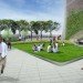 green space, Columbia University, CUMC, Columbia university green space, Columbia university medical center, new medical and graduate building, leed-certified building, new educational building Columbia, glass tower design
