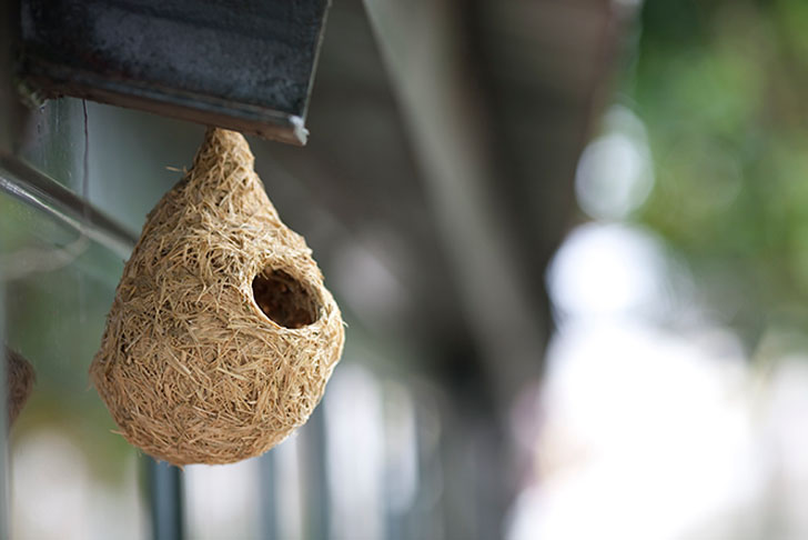DHH Studio, OU Studio, bird nest, rice straw, Gina Hsu, Nagaaki Shaw, taiwan, biodegradable materials, waste materials, Animals, Art, Green Materials, Green Products,