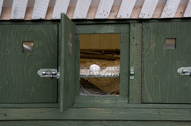 Torsten Ottesjö, hens house, chicken coop, swedish design, sustainable architecture, biomorphic design, green design, eco building, environmental design, sustainable design, natural design, wooden construction