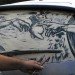 Dirty Car Art, Scott Wade, dirty car artist, temporary art, eco art, green art