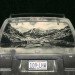 Dirty Car Art, Scott Wade, dirty car artist, temporary art, eco art, green art