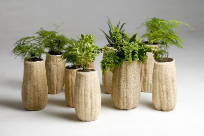 Fernando Laposee, Lufa, Mexican design, vegetable sponges, London's Central St. Martins, Freestanding, flat-pack, room divider, lamp, desk, hot-chocolate set, plant pots, biodegradable materials, sponge, Sustainable Food, Recycling / Compost, Botanical, Green Materials, Green Products,