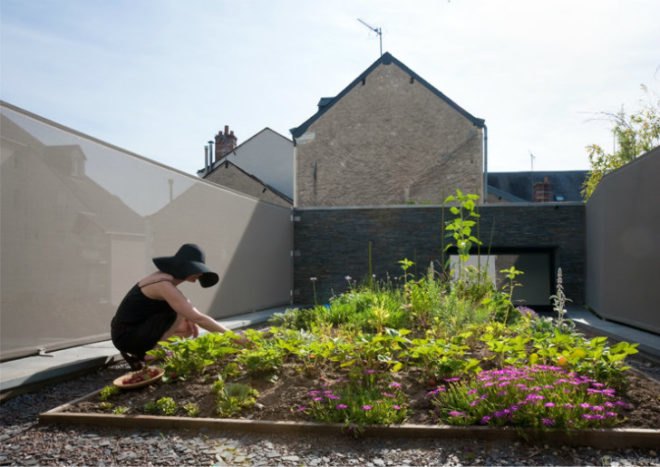 Fertile House, MU Architects, green renovation, renovation, france, rooftop garden, green roof