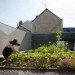 Fertile House, MU Architects, green renovation, renovation, france, rooftop garden, green roof