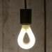 Gluhbirne, LED Nature Bulb, Process Design Team, led, led light bulb, dwell on design, dod 2012, green furniture, green products, sustainable furnishings, green design, sustainable design, dwell magazine, green design events, los angeles green design, prefab housing, green interiors, sustainable interiors, prefabricated building