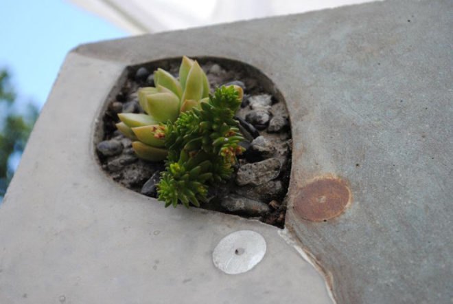 MDC Interiors, Indoor Concrete Wall Planter, Michael Carpenter, Atlanta, Georgia, Succulents, planter