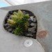 MDC Interiors, Indoor Concrete Wall Planter, Michael Carpenter, Atlanta, Georgia, Succulents, planter