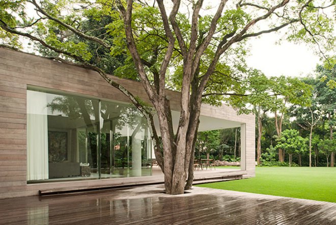 Isay Weinfeld, Grecia House, São Paulo, Brazil, natural light, wood, trees growing inside, minimalistic, greenery, open plan, Air quality, Architecture, green Interiors, Daylighting