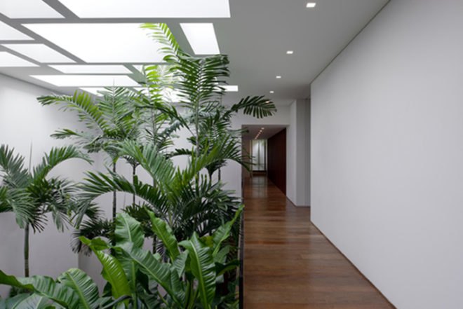 Isay Weinfeld, Grecia House, São Paulo, Brazil, natural light, wood, trees growing inside, minimalistic, greenery, open plan, Air quality, Architecture, green Interiors, Daylighting