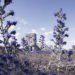 Hotel Furillen, eco-lux, hotel, sweden, Restored Limestone Refinery, Gotland, concrete luxury, Airstream caravan, Architecture, Daylighting, Green renovation, Eco Travel