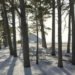 Hotel Furillen, eco-lux, hotel, sweden, Restored Limestone Refinery, Gotland, concrete luxury, Airstream caravan, Architecture, Daylighting, Green renovation, Eco Travel