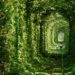 Natural Architecture, natural arch, Tunnel of Love, green tunnel, ukraine, train, Architecture, Botanical