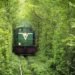 Natural Architecture, natural arch, Tunnel of Love, green tunnel, ukraine, train, Architecture, Botanical
