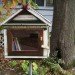 green design, eco design, sustainable design, mobile library, pop up library, DIY library, Little Free Library, literacy