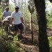 lonesome george,galapagos,giant tortoise,george,extinction