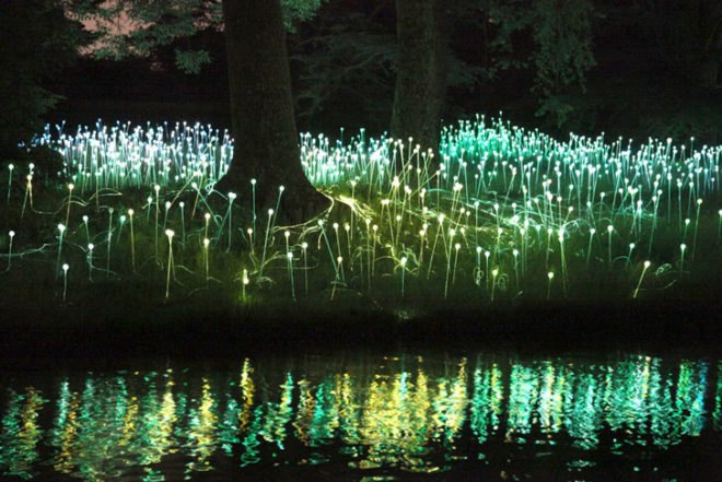 green design, eco design, sustainable design, LED light, Bruce Munro, Light installations, Philadelphia, Longwood Gardens