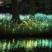 green design, eco design, sustainable design, LED light, Bruce Munro, Light installations, Philadelphia, Longwood Gardens